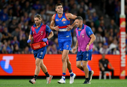 Dogs confirm extent of Darcy knee injury after 'fearing the worst'